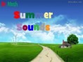 Summer Sounds